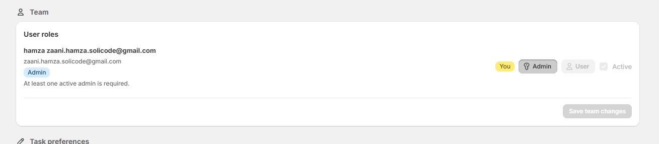 Team section with user roles — Admin/User toggles and Active checkboxes